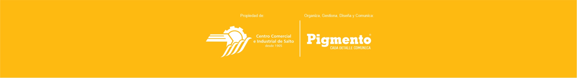PIGMENTO Y CENTRO COMERCIAL